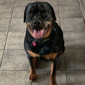 Meet your Posher, Gary